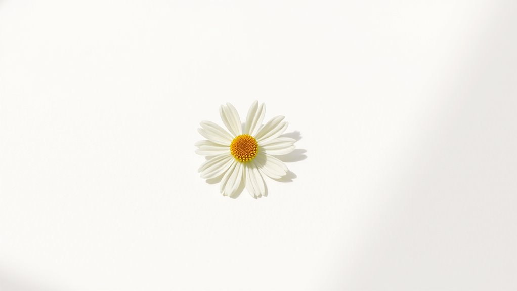 Weniger ist wirklich mehr