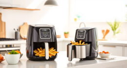 Ninja Air Fryer 4 QT: The Perfect Summer Snack Maker