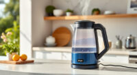 Ninja KT200BL Precision Temp Electric Kettle for Summer Sips