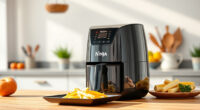 Summer Care & Troubleshooting for Your Ninja Air Fryer
