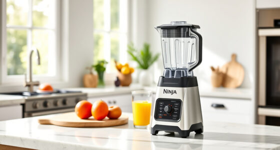 Summer Smoothies Made Easy with the Ninja Professional Blender