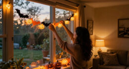 11 Best Halloween Window Decorations for Spooky Seasonal Displays in 2027